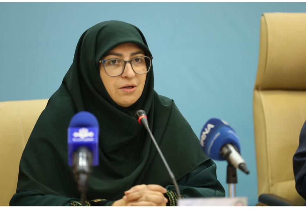 انصاری: اجرایی نشدن آیین‌نامه کاهش مصرف کیسه‌های پلاستیکی پس از ۴ سال پذیرفتنی نیست