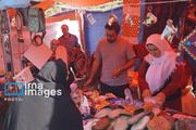 سومین جشنواره گردو ثمرین