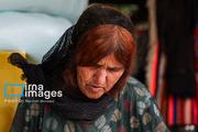 نمایشگاه توانمندی‌های روستایی و عشایری