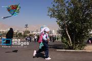 پرواز بادبادک ها