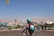 پرواز بادبادک ها