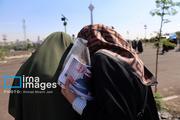 پرواز بادبادک ها