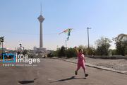 پرواز بادبادک ها