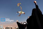 پرواز بادبادک ها