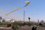 پرواز بادبادک ها