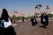 پرواز بادبادک ها