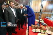 مراسم افتتاحیه نمایشگاه بین المللی «شیراز اکسپو»