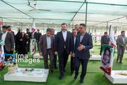 سفر معاون وزیر امور خارجه به هرمزگان